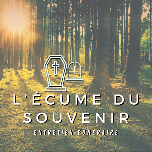 Logo de l'écume du souvenir, Une foret lumineuse